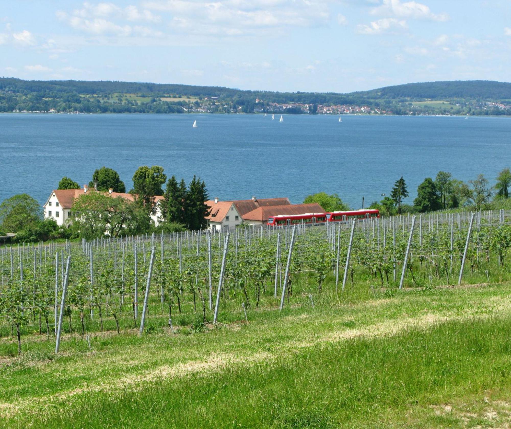 Appartamento Ueberlinger Ferienidylle Uberlingen Esterno foto